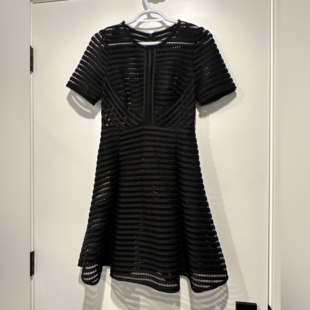 Black Mesh Sheer Structured Dress